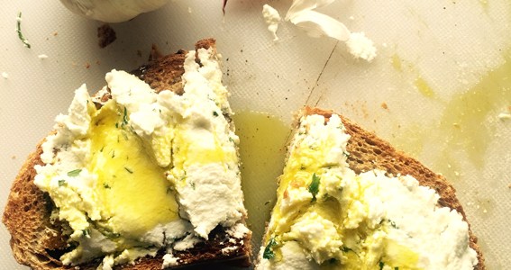 Homemade Goats Cheese