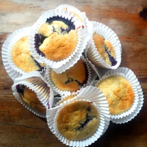 Skinny Blueberry Mofns