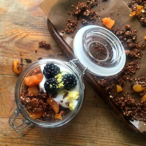 Apricot & Chocolate Granola