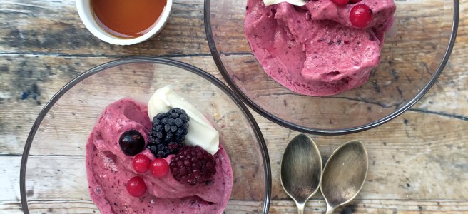 5 minute mixed berry frozen yogur