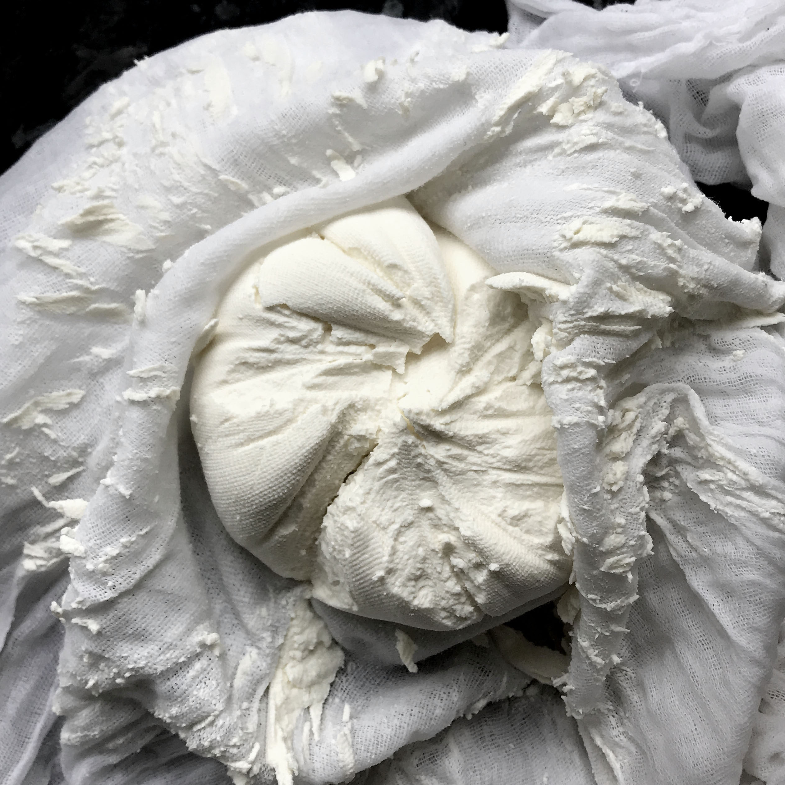 Homemade labneh